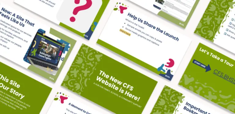 CFS Website Internal Launch
