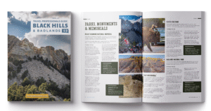 BHB Travel Professionals Guide